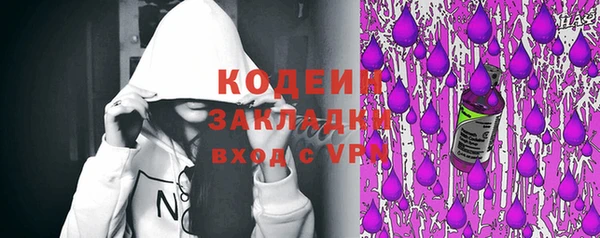 шишки Верея